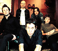 Shed Seven - снова в деле!